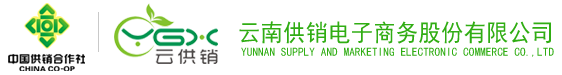 南宫电子商务股份有限公司